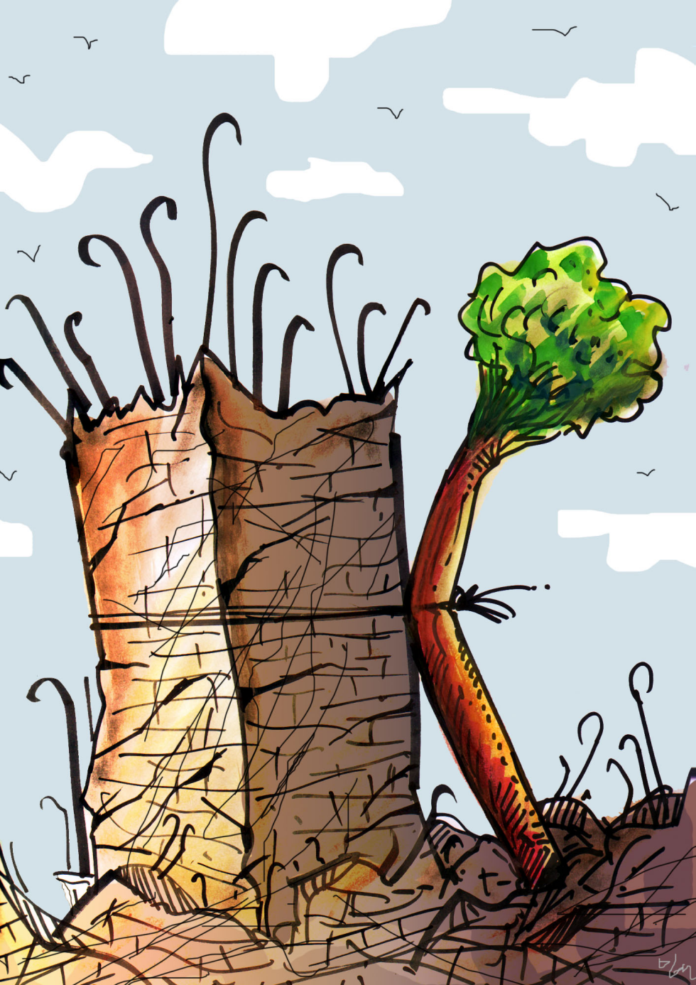 Growth
