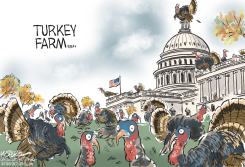 CONGRESSIONAL TURKEYS by Jeff Koterba