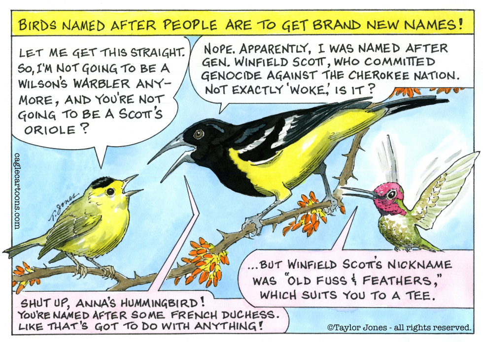 Birds - the name game