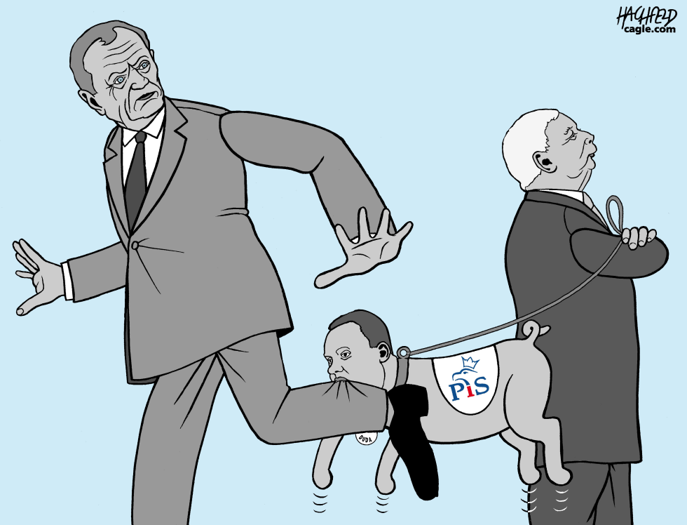 Tusk,Duda, Kaczyński