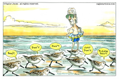 EVEN THE SANDPIPERS THINK SO by Taylor Jones