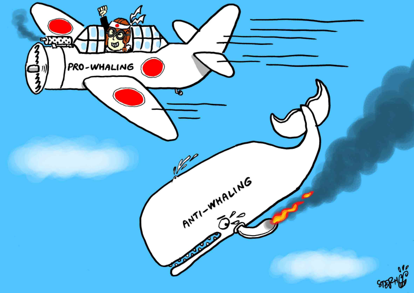Pro-whaling camp lost