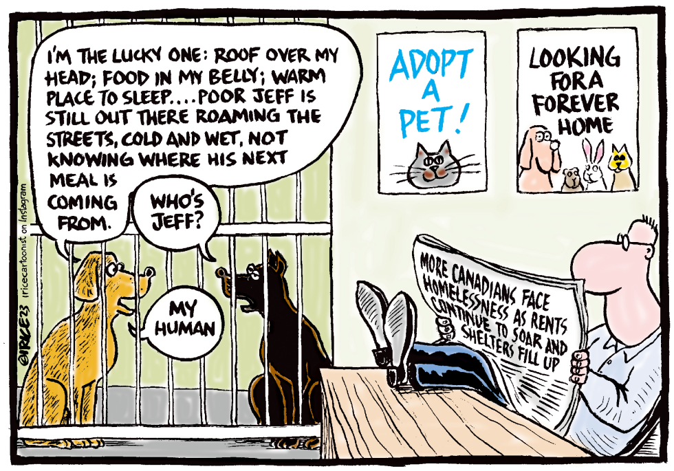 A Forever Home