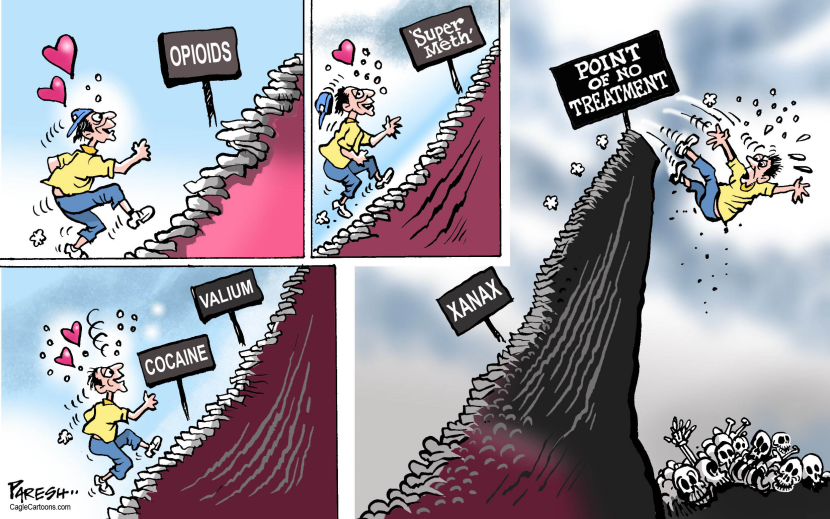 Drug addiction path