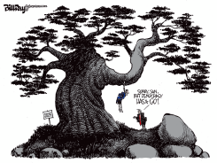 DEMOCRACY HAS TO GO by Bill Day