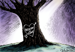 ROSALYNN CARTER by Joe Heller