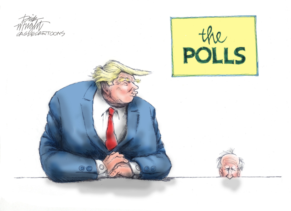 The Polls
