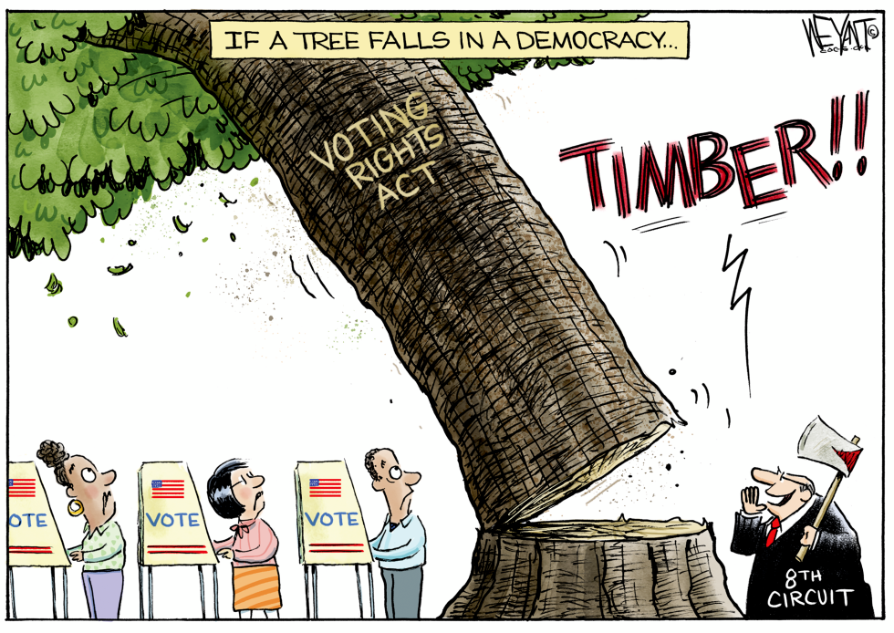 If A Tree Falls in a Democracy