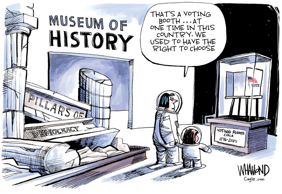 Voting Rights Act Cartoons