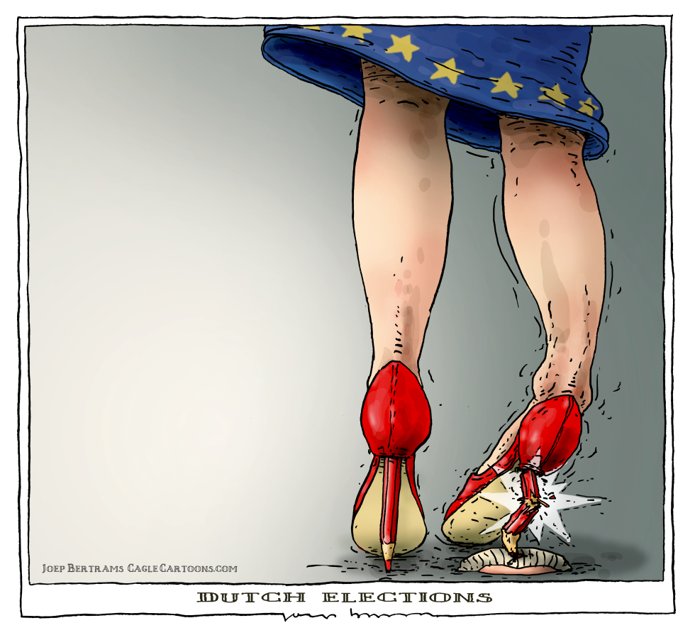 dutch elections