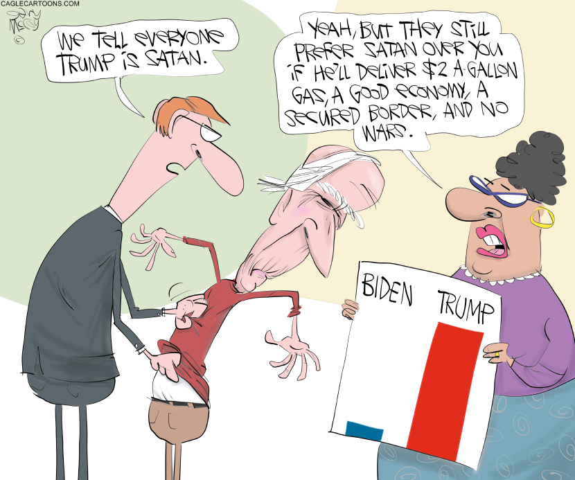 What Voters Prefer
