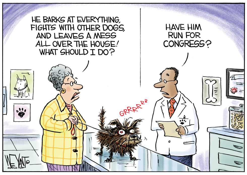 Bad Dogs