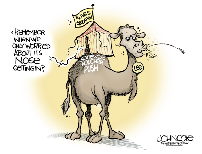 TENNESSEE School-voucher camel