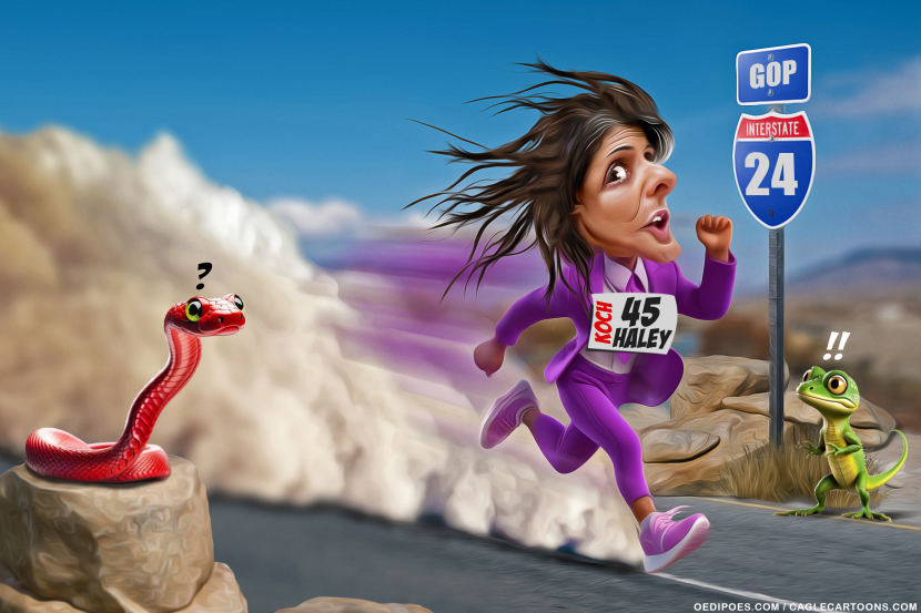 Nikki Haley in pursuit of Trump