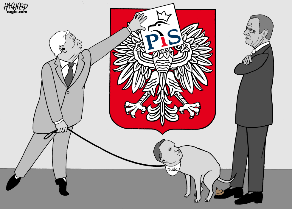 No news from Poland