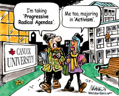 ACTIVISM by Steve Nease