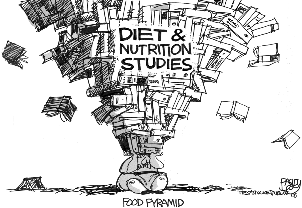 Food Pyramid Diet