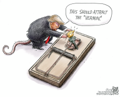 DEMOCRACY TRAP by Adam Zyglis