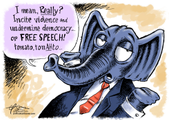 INCITING A RIOT by Guy Parsons