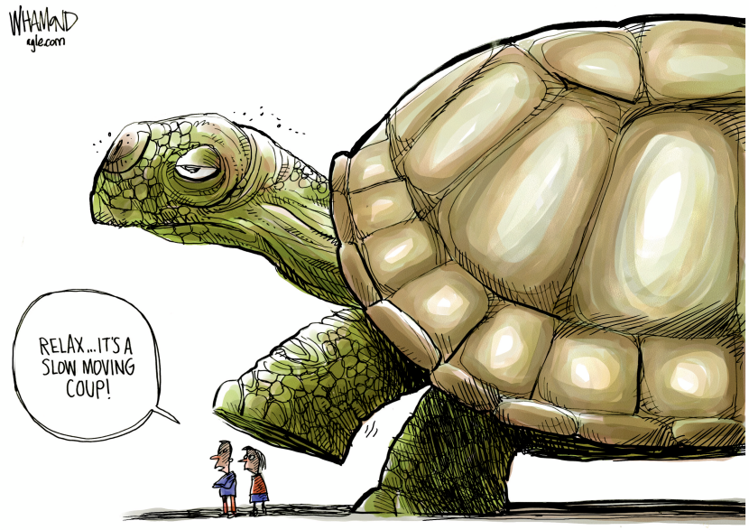 Slow Moving Coup