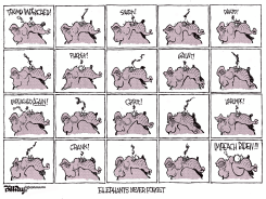 ELEPHANTS NEVER FORGET by Bill Day
