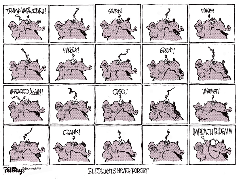 Elephants Never Forget