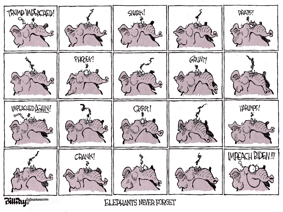 Elephants Never Forget