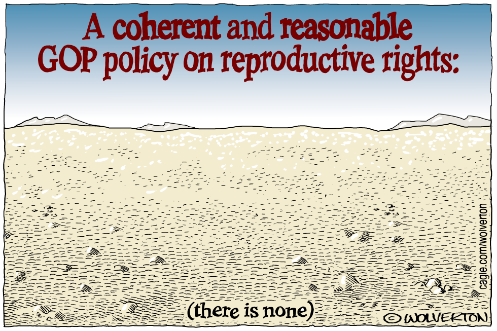 GOP Abortion Policy