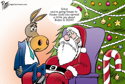 A DEMOCRATS' WISH LIST by Bruce Plante