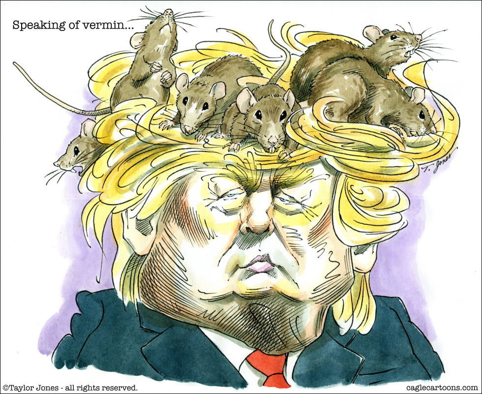 Rats' Nest