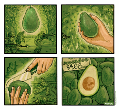 THE COST OF AVOCADOS by Peter Kuper
