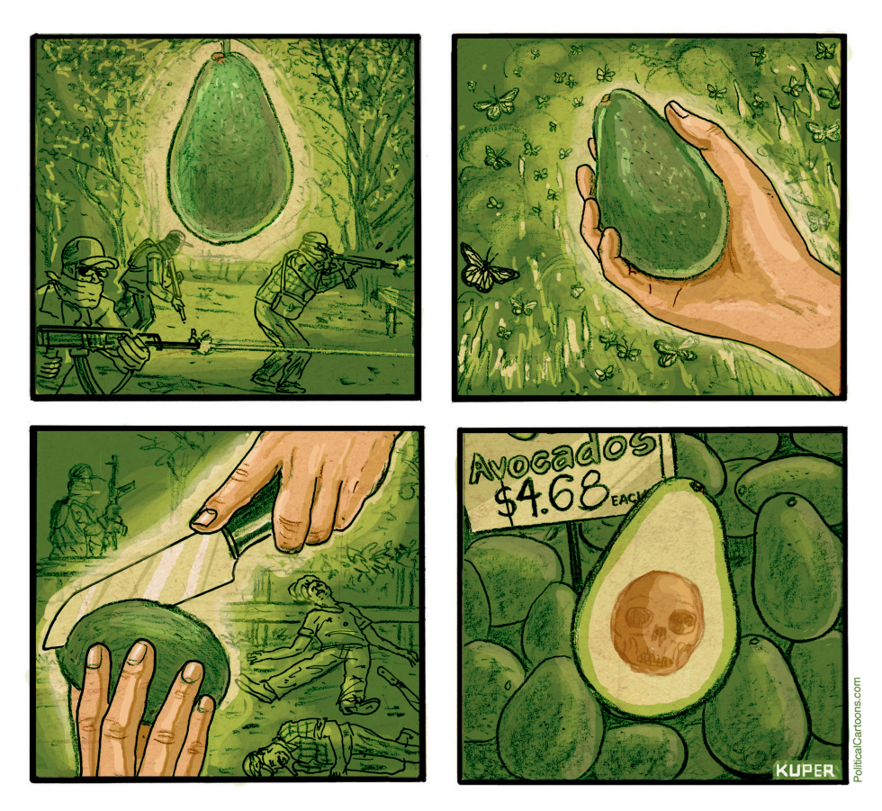 The Cost Of Avocados