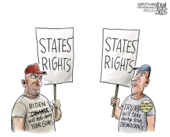 ADO BALLOT DECISION by Adam Zyglis