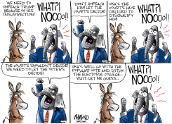 DECISIONS, DECISIONS by Dave Whamond
