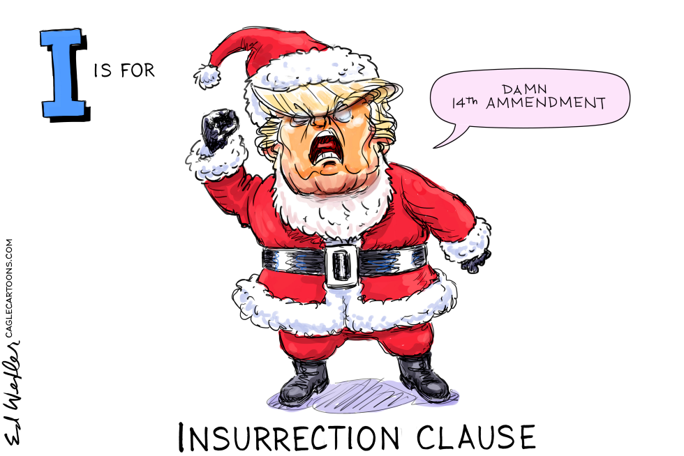 I is for Insurrection Clause