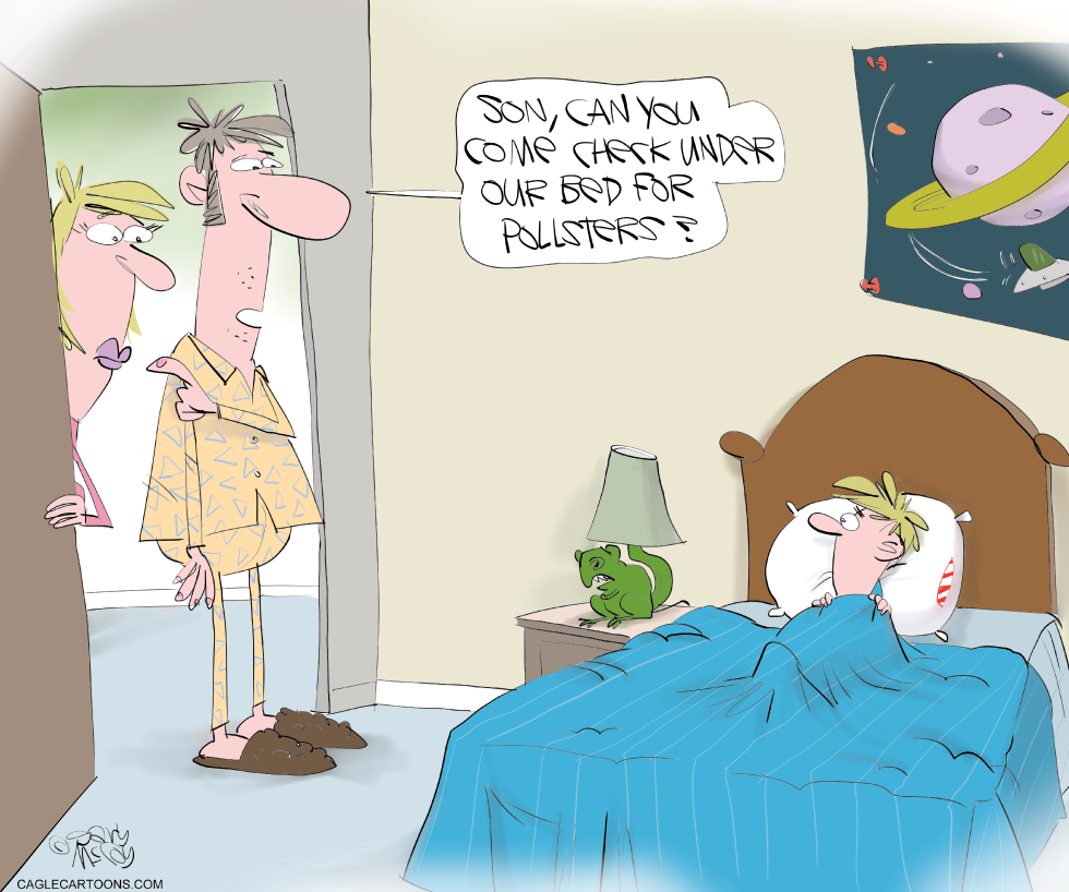 Pollsters Overload