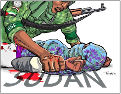 SUDAN IN CRISIS - SEXUAL VIOLENCE by Tayo Fatunla
