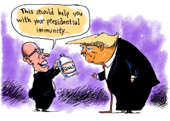 PRESIDENTIAL IMMUNITY by Guy Parsons