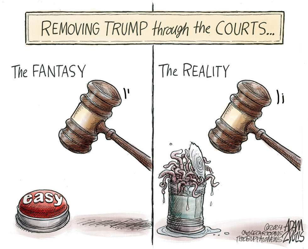 Left Wing Fantasy