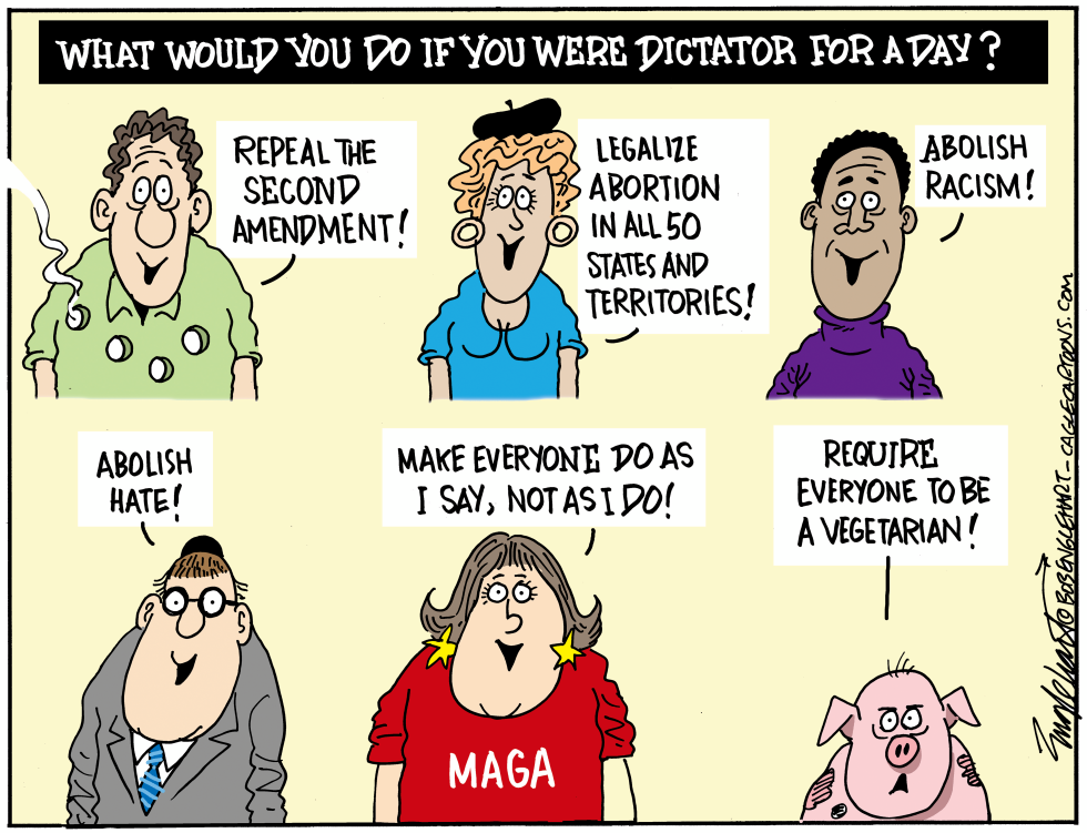 Dictator For A Day