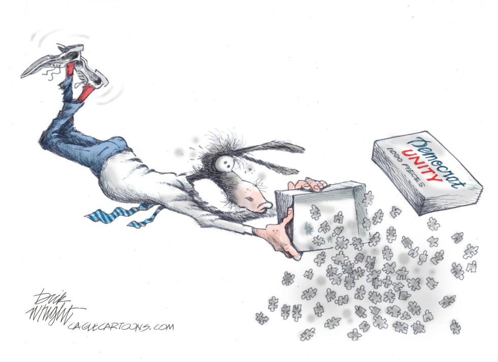 Democrat Unity