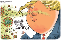 TRUMP IMMUNITY by Rick McKee