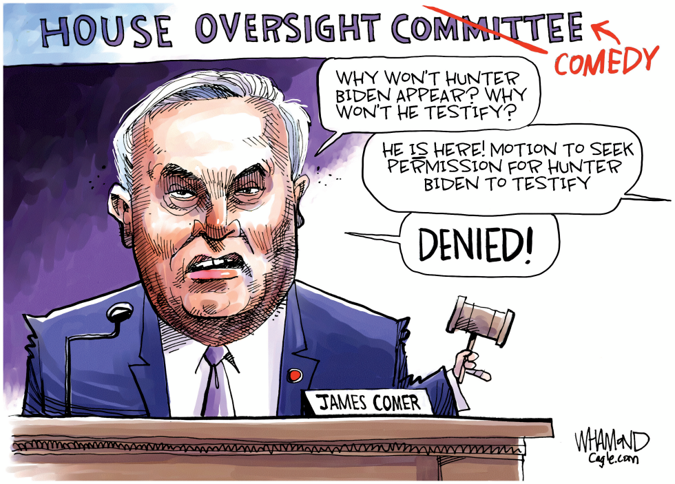 House Oversight Clown Show