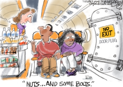 BOEING BOEING by Pat Bagley