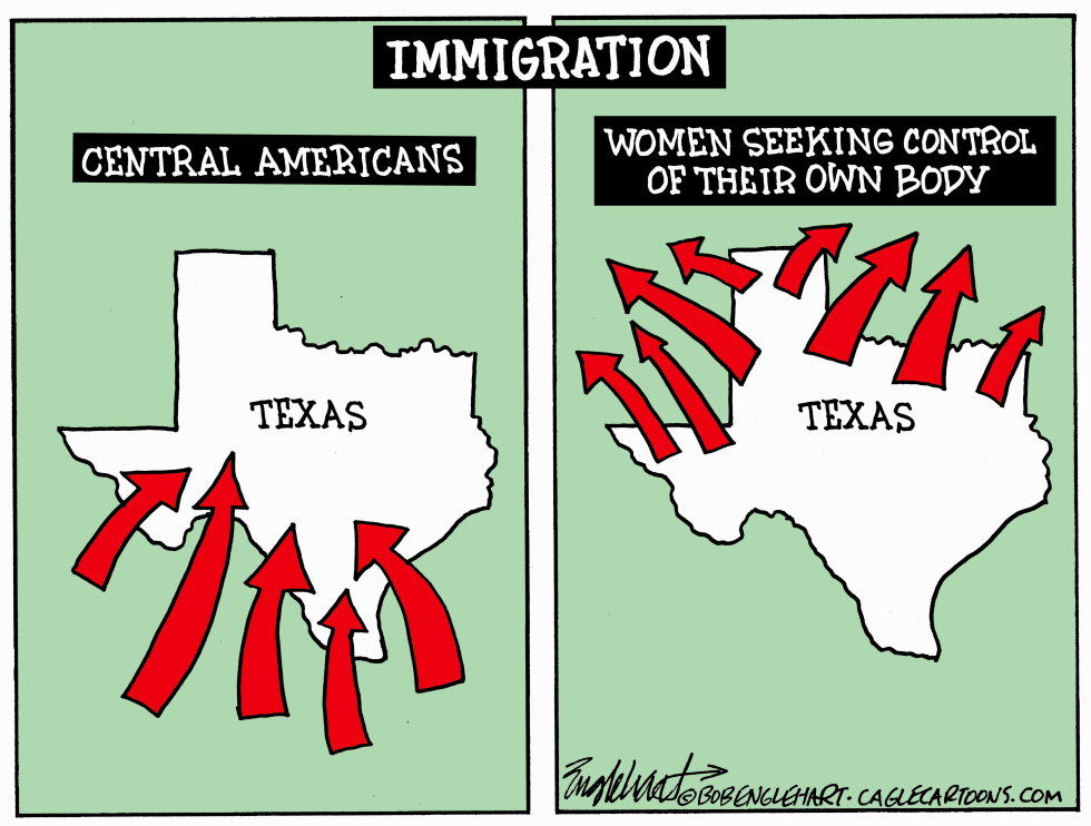 Immigration In Texas