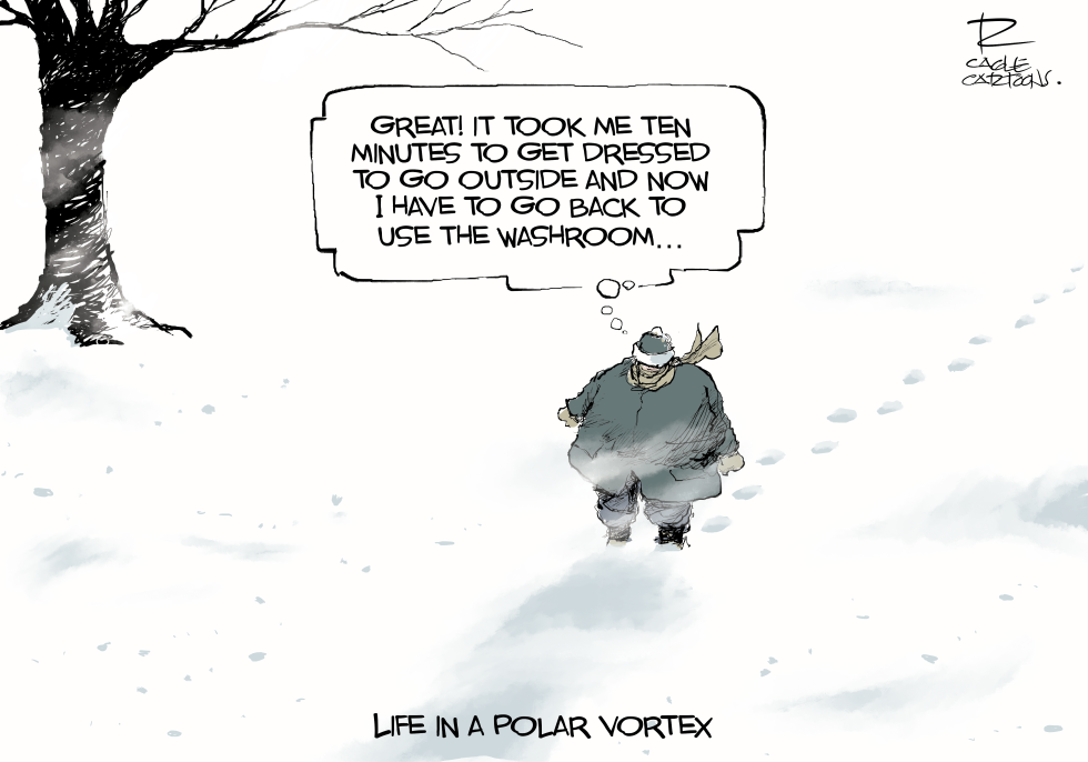 Polar Vortex