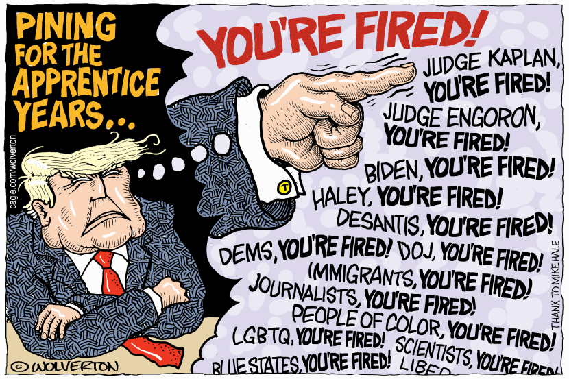 You're Fired