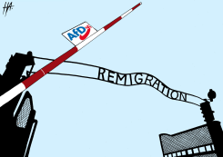 GERMAN REMIGRATION by Rainer Hachfeld