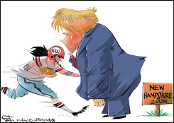POLITICAL WILDCARD by Frank Hansen