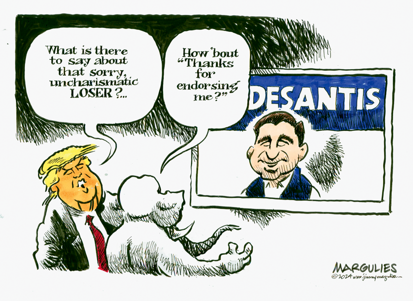 DeSantis endorses Trump